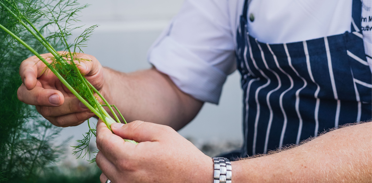 A person with apron holding fresh dill